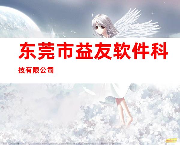 东莞市益友软件科技有限公司