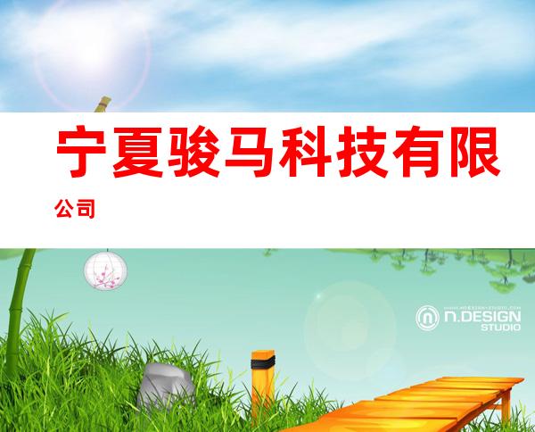 宁夏骏马科技有限公司