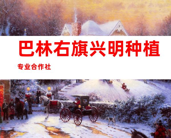 巴林右旗兴明种植专业合作社