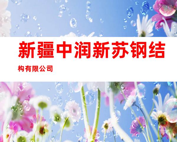 新疆中润新苏钢结构有限公司