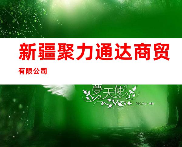 新疆聚力通达商贸有限公司