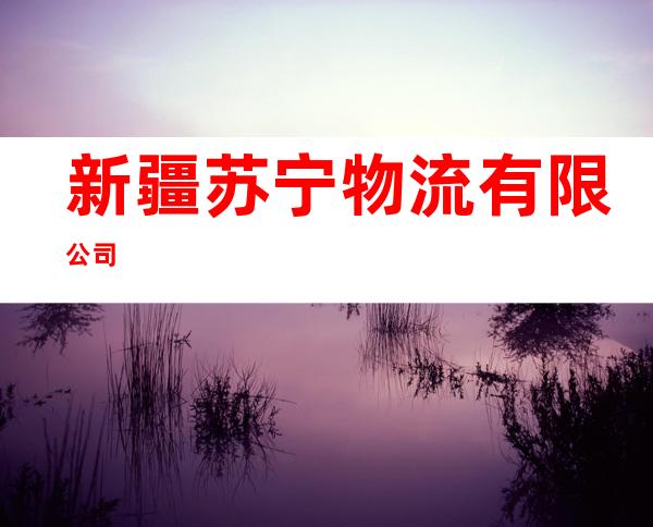 新疆苏宁物流有限公司