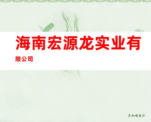 海南宏源龙实业有限公司