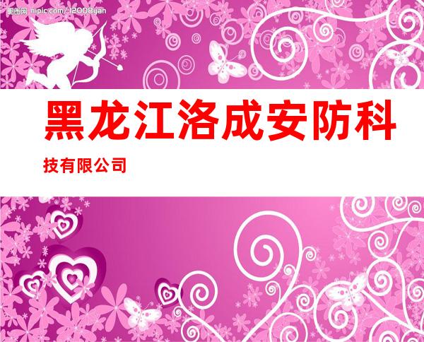 黑龙江洛成安防科技有限公司